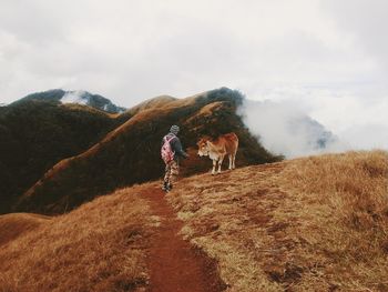 Low section of horse on ground against sky