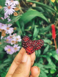 Close-up of hand holding strawberry