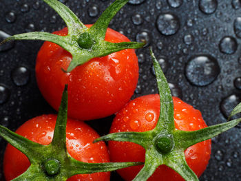 Close-up of wet red leaves