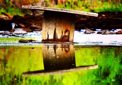 Close-up of wet wooden post in lake