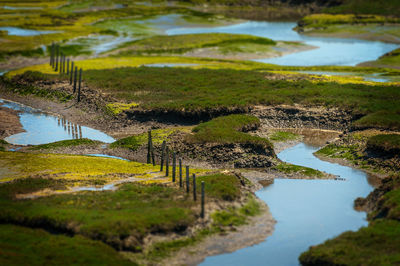 Elkhorn slough reserve at monterey bay