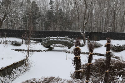 Snow covered trees by land during winter