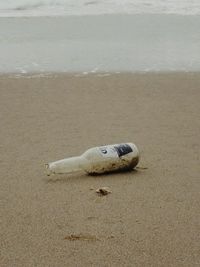 Sea shore at beach