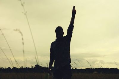 Trees against sky at sunset