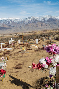 Desert cemetery with distant mountains