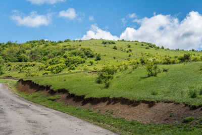 Scenic view of road amidst field against sky