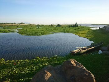 Scenic view of grass against sky