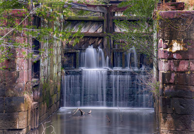 Scenic view of waterfall in forest