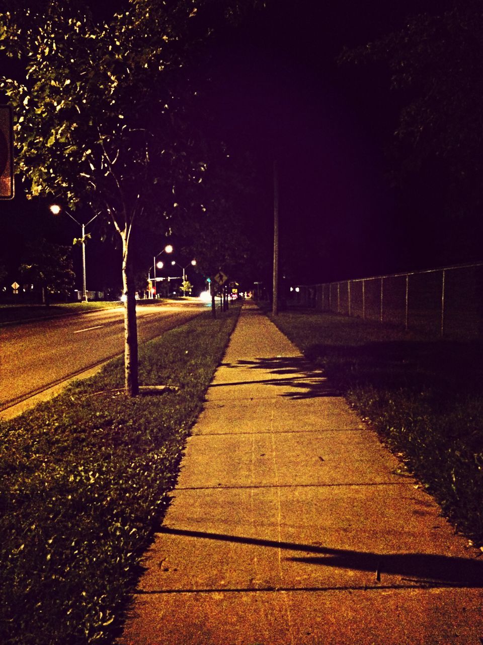 the way forward, night, diminishing perspective, tree, illuminated, vanishing point, street light, transportation, road, street, empty, long, footpath, empty road, walkway, outdoors, lighting equipment, pathway, road marking, treelined