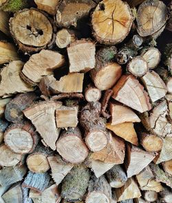 Full frame shot of logs in forest