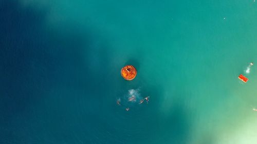 High angle view of red floating on water