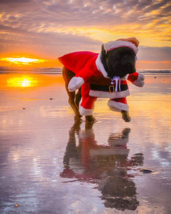 Full length of man on beach against sky during sunset