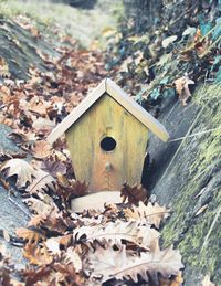 birdhouse