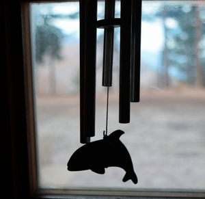Close-up of cat against window