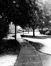 Road by trees against sky