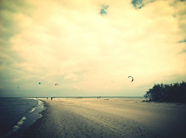 flying, sea, sky, mid-air, beach, bird, water, scenics, horizon over water, tranquil scene, beauty in nature, tranquility, nature, cloud - sky, parachute, silhouette, animal themes, shore, animals in the wild, sand