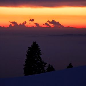 Scenic view of silhouette trees against sky during sunset