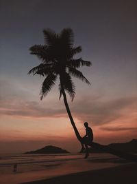 Silhouette man sitting on palm tree at beach against sky during sunset