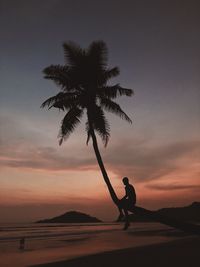 Silhouette man on palm tree at beach against sky during sunset