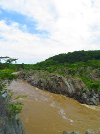 Scenic view of river amidst trees against sky