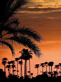 Silhouette palm trees against sky during sunset