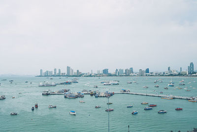 Boats in harbor