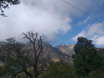 Low angle view of trees on mountain against sky