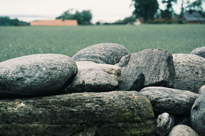 Close-up of stones on rocks