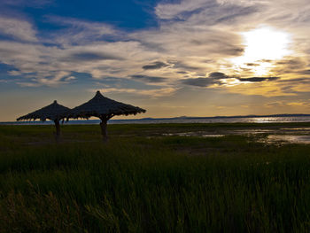 Thatched roof parasols at beach against sky during sunset