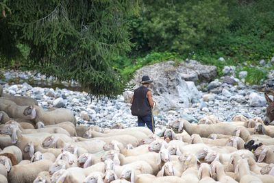 Rear view of man on rocks by river