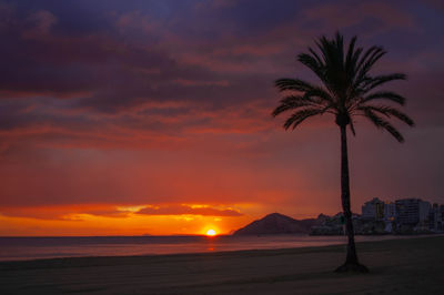 Silhouette palm trees on beach against romantic sky at sunset