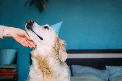 Man holding dog