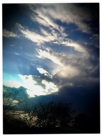 Low angle view of trees against cloudy sky