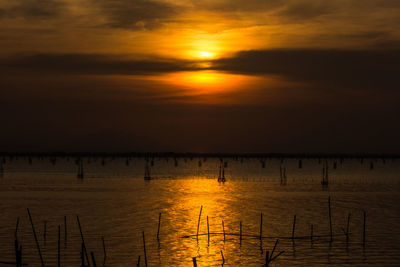 Scenic view of sea against orange sky