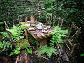 Plants on abandoned table in yard