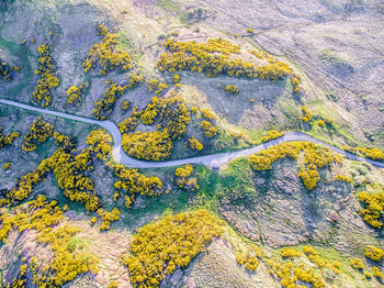 High angle view of mountain road