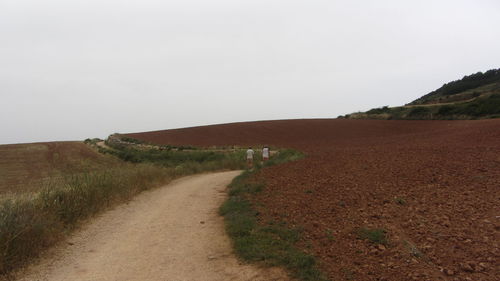 Scenic view of field against clear sky