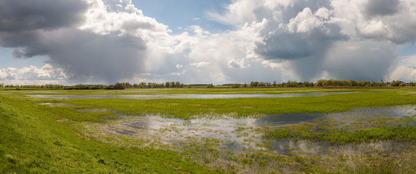 Panoramic view of field and lake against sky