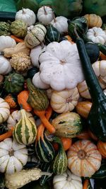 High angle view of pumpkins and squashes at market for sale