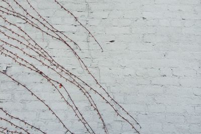 Full frame shot of cracked wall
