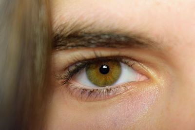 Close-up portrait of human eye