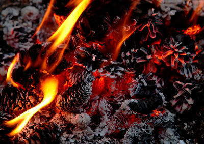 High angle view of bonfire