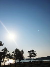 Low angle view of trees against blue sky