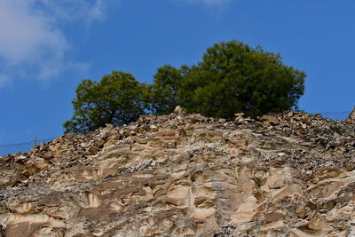 Low angle view of trees against sky