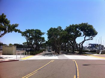 Empty road along trees