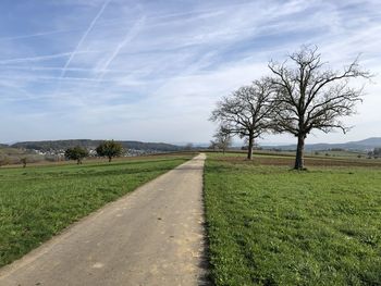 Road amidst bare trees on field against sky