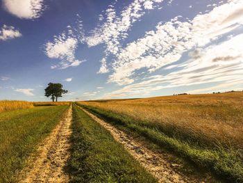 Tire track on grassy field against sky