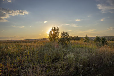 Scenic view of field against sky during sunset