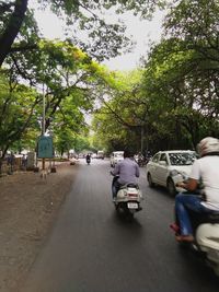 Rear view of people on road amidst trees