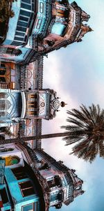 Low angle view of palm trees and buildings against sky